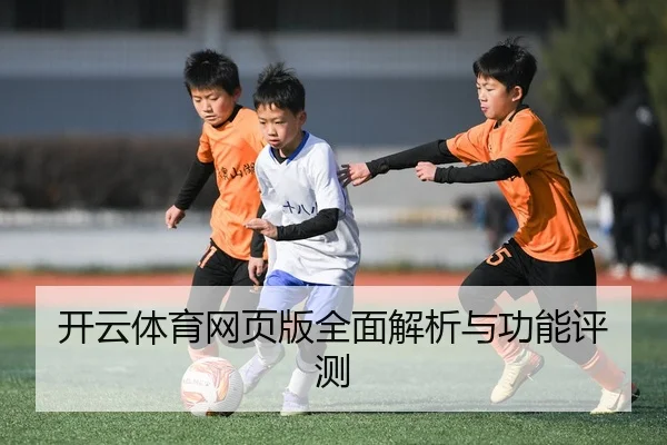 开云体育网页版全面解析与功能评测
